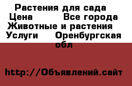 Растения для сада › Цена ­ 200 - Все города Животные и растения » Услуги   . Оренбургская обл.